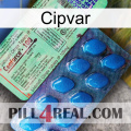 Cipvar new02